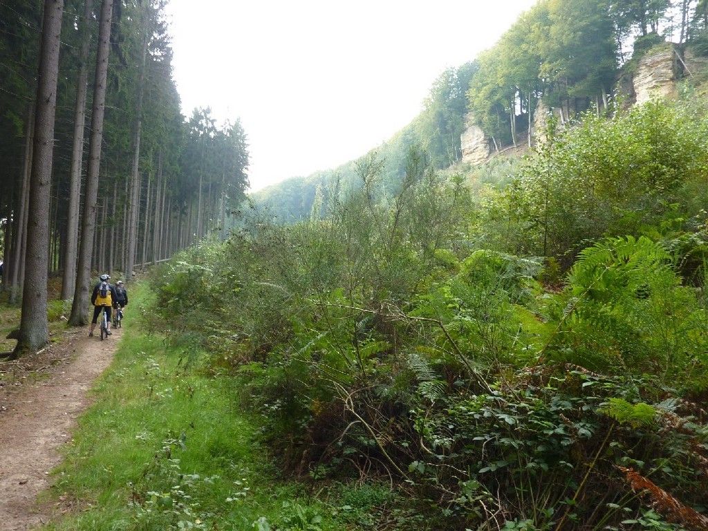 Mullerthal092010188.JPG