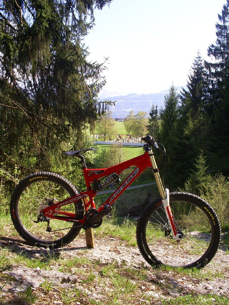 S5030611.JPG