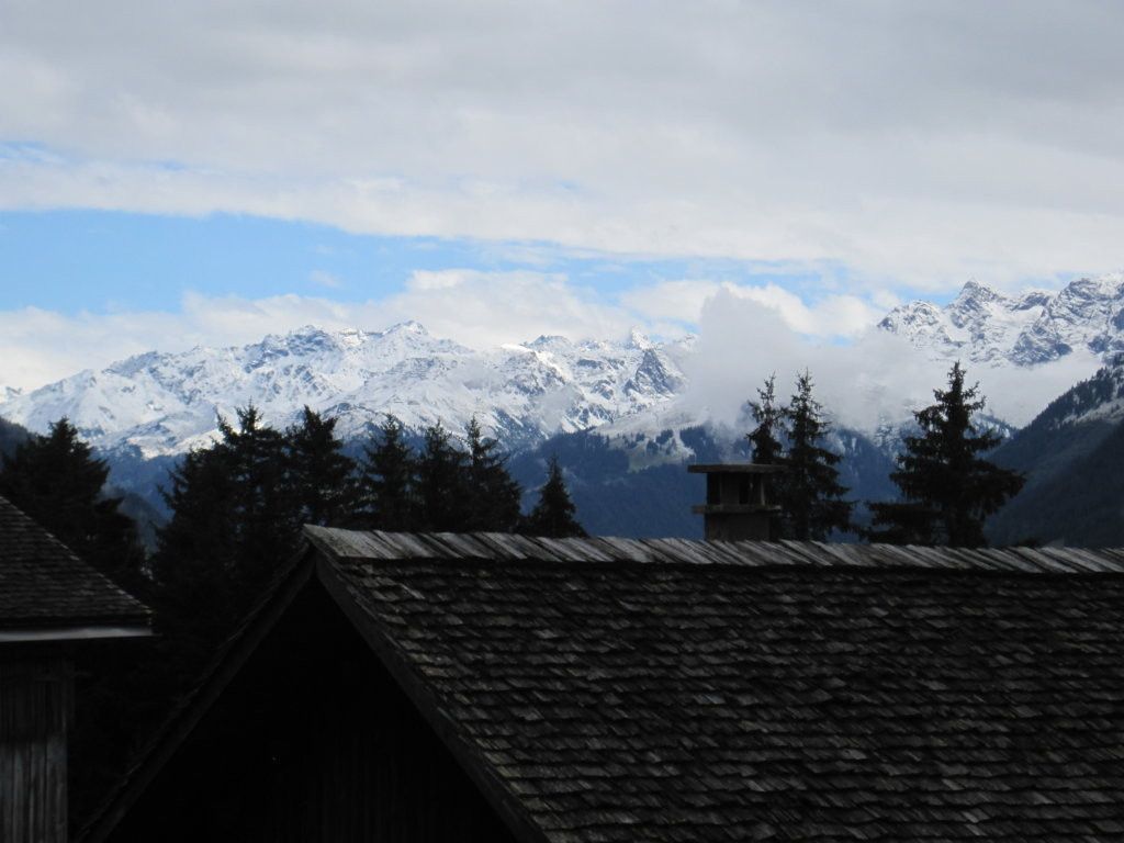 klein_IMG_2579.JPG