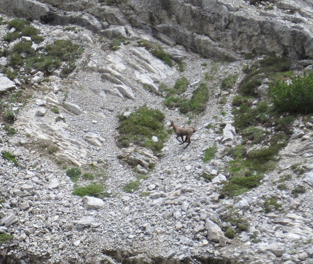 20110614_14.jpg