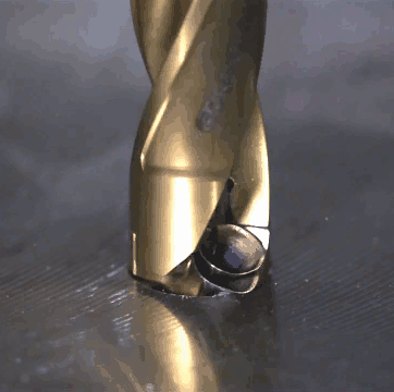 fzbz.gif