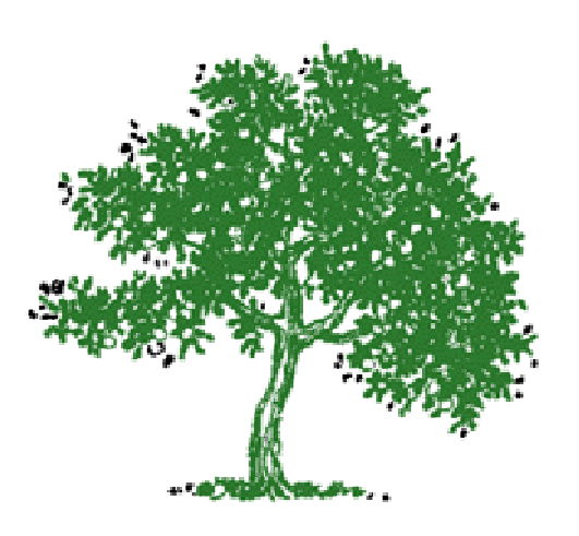 baum.gif