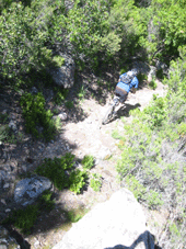 korsika3.gif