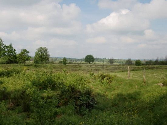 Elsenborn2.JPG