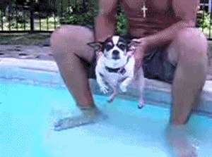 warm-up-lap_failgif-100502.gif