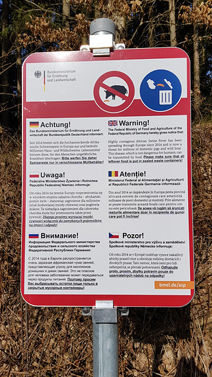 2257330-jd6dth3jzsyp-howtowildschwein-medium.jpg