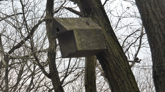 2248321-i03ahs0zwiwp-ohnedmmung-medium.jpg