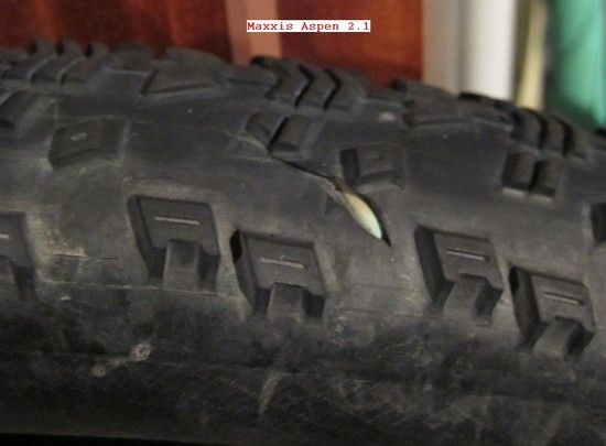 maxxis_aspen_schnitt.jpg