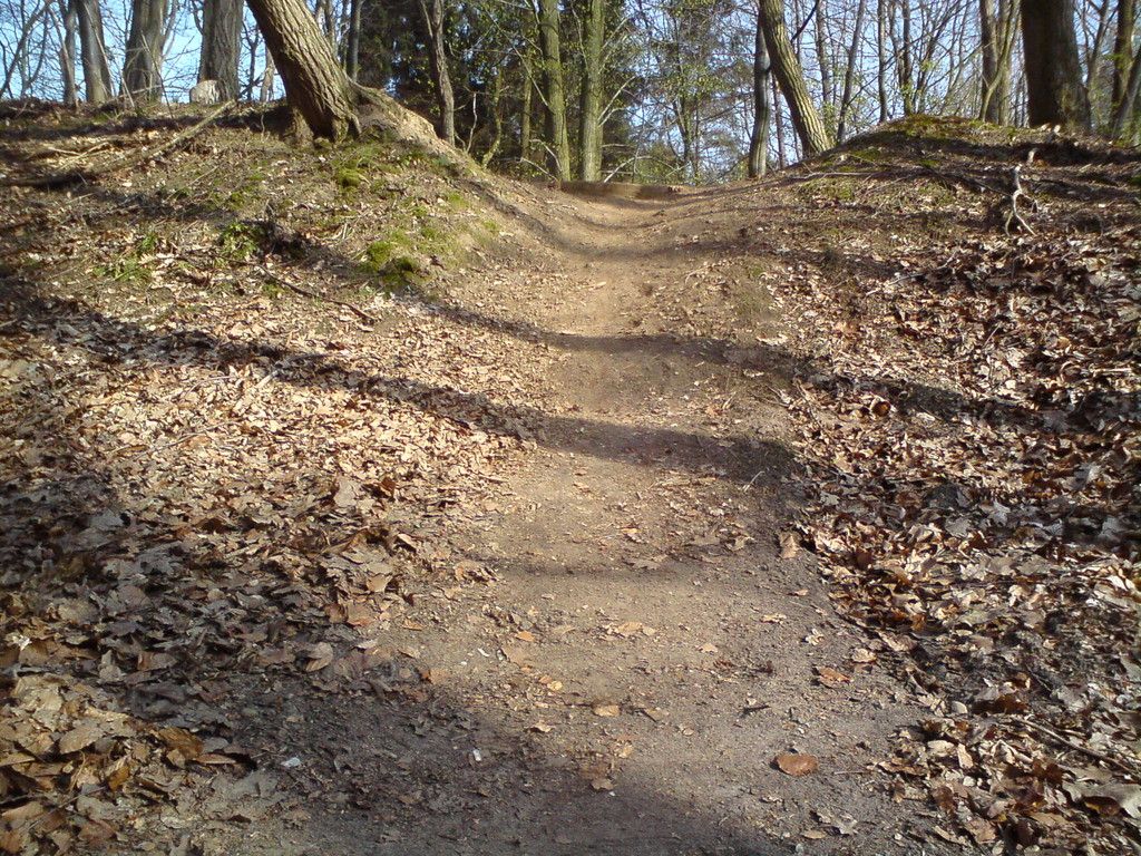 DSC00155.jpg