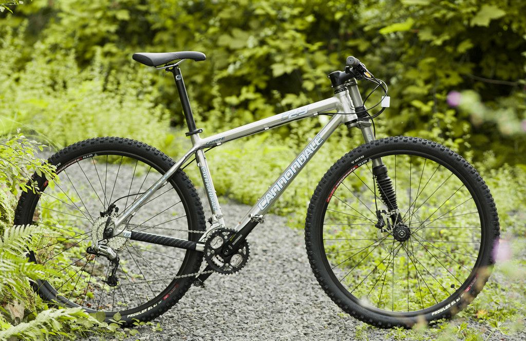 Caffein_29er_f2.jpg