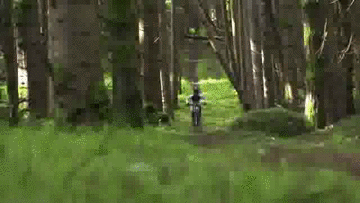 30ea94ccc023e29a.gif