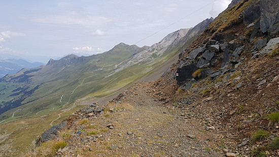 2302776-ajbcun3z1q1n-pacebereitetoderwie-medium.jpg