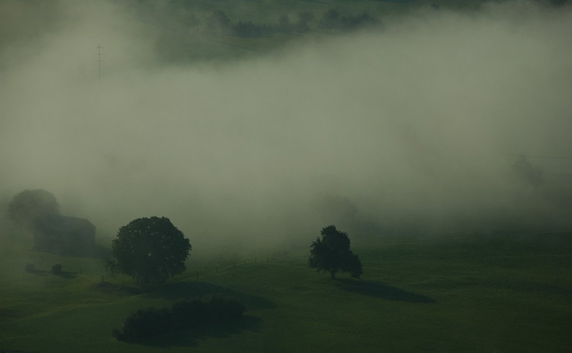 large_Morgennebel_3.jpg