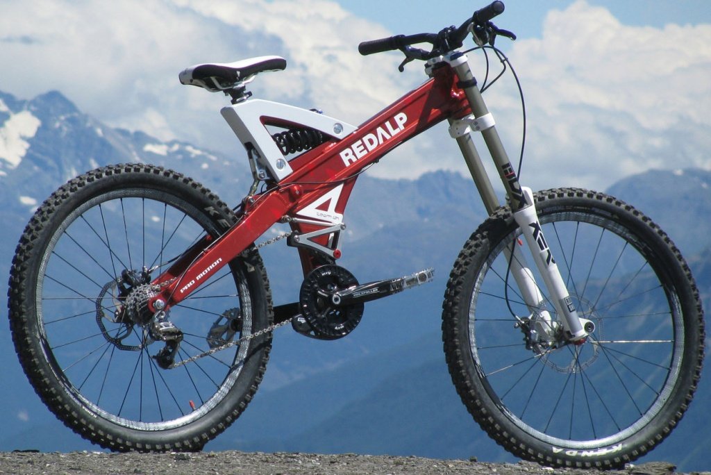 large_Redalp-DH-Team-Bike-small.jpg