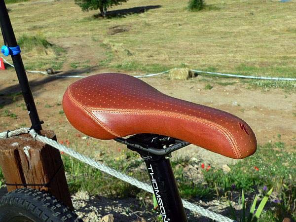 Specialized_Enduro_SL_brown_saddle.jpg