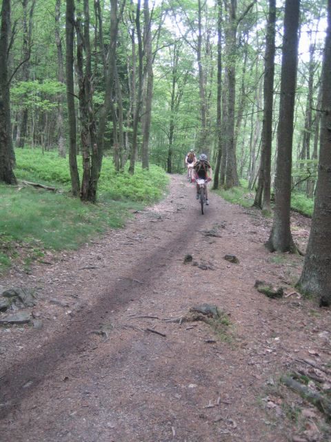 Waimesmarathon-trail.JPG