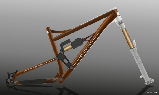 medium_IBC-Bike-DesignCS4-Braun1-01.png