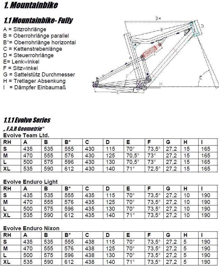 large_BergamontGeometrien2005.JPG