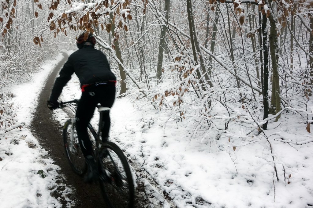 large_Snowride.jpg