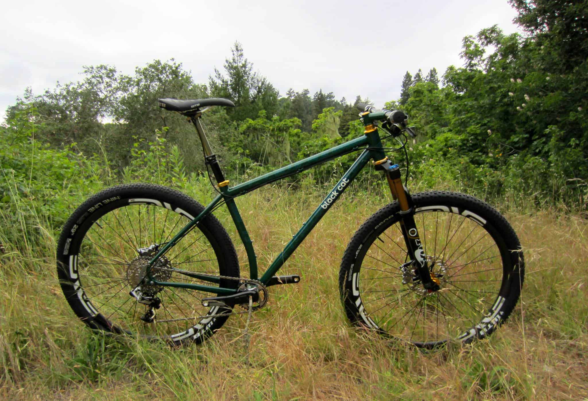 black-cat-custom-hardtail-mountain-bike1.jpg