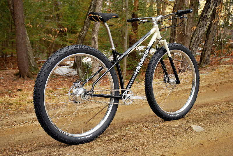 44Bikes_Rohloff_29er_1.jpg