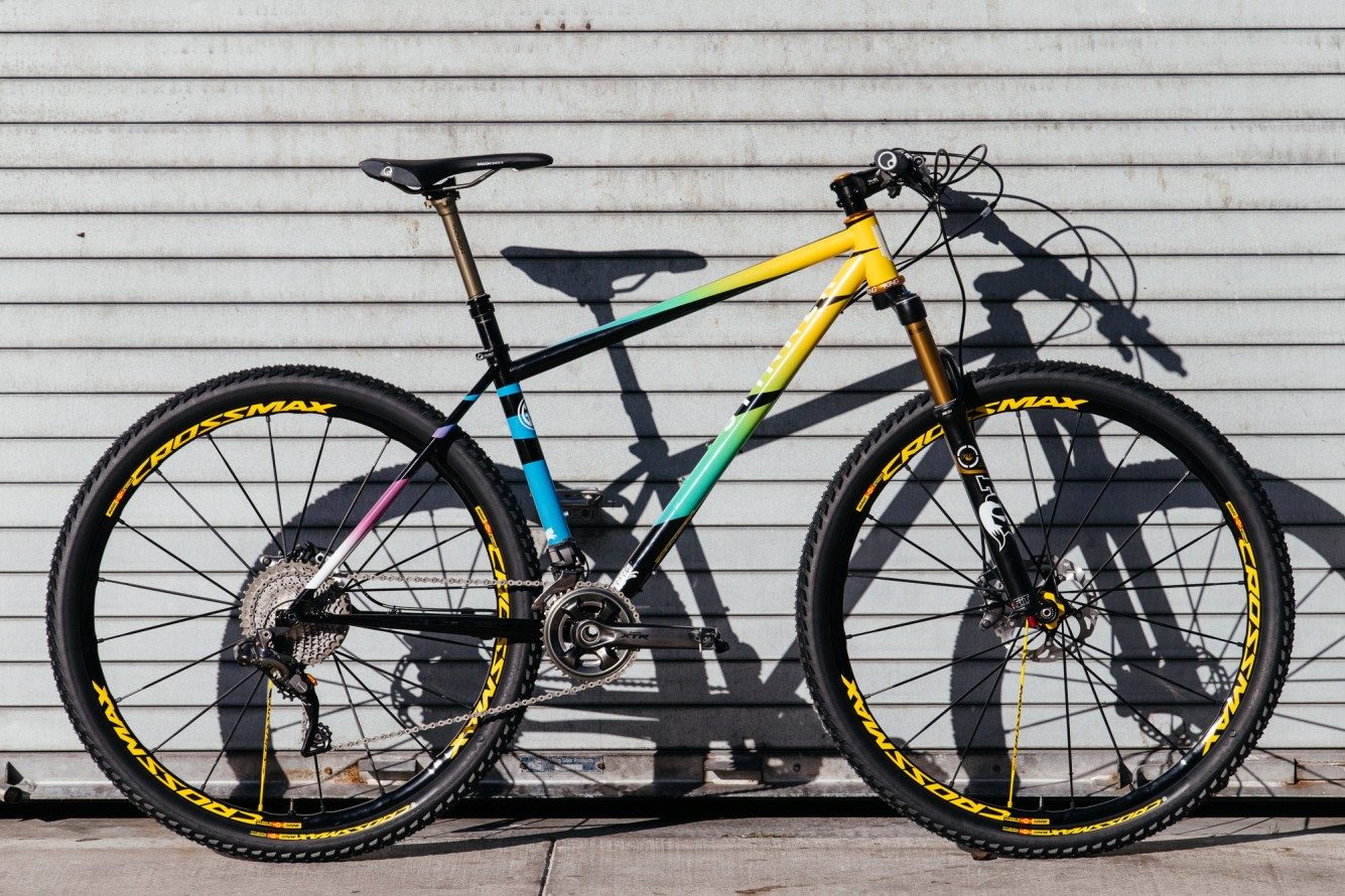 Team-Dream-Designed-Mavic-Crossmax-Stinner-Hardtail-MTBs-11-1335x890.jpg