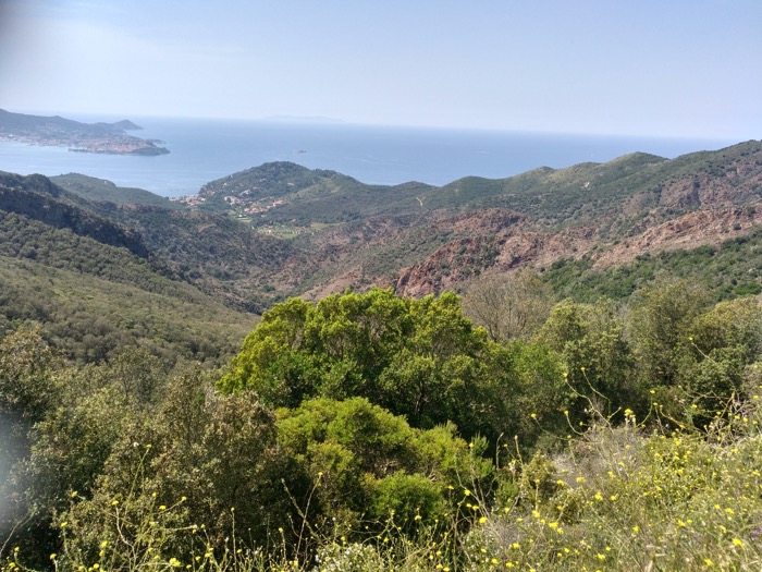 Mtb_Elba09.jpg