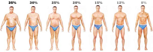 body-fat-levels-men1.jpg