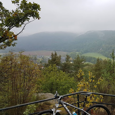 Ausflugsziele Mit Hund In Und Um Leipzig Unsere 6 Lieblingsseen