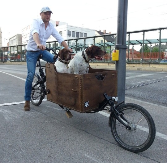 long-john-hunde-transport-e1383562745614.jpg