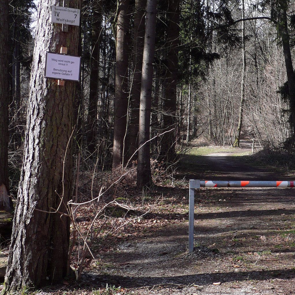 Eningen-nichtgestreuterWaldweg.jpg