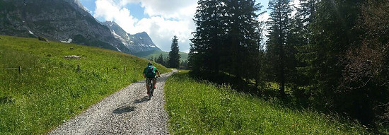 2282970-lrwxzqnj5co5-ich_appenzell-medium.jpg