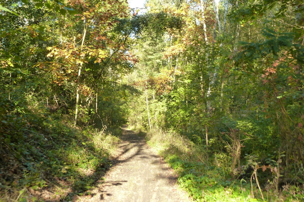 P1100202.jpg