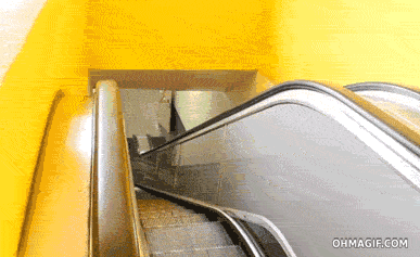 giphy.gif