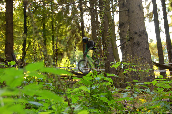 In den Bikepark im Winter… z.B. in Osternohe oder Bad Wildbad