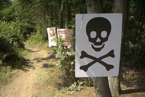 Eifel-Mosel-Cup 2004: Finale auf der Landesgartenschau Rheinland Pfalz