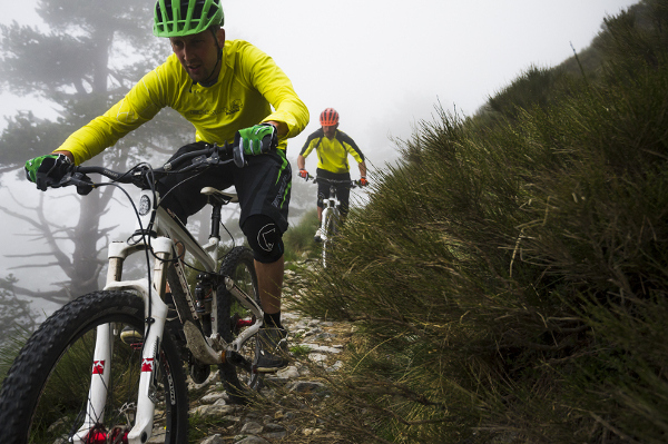 Endura Kollektion 2015: Bunte Shorts und Trikots [PM]