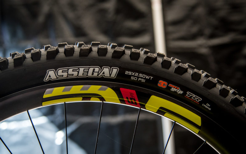 Maxxis Assegai Downhill-Reifen: Greg Minnaars Signature-Reifen vorgestellt