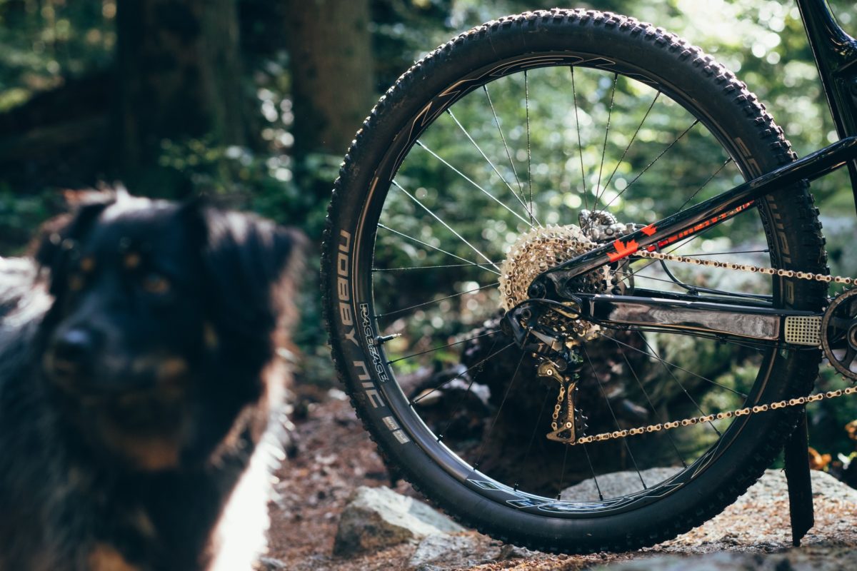 Race Face Next SL: Leichter Carbon-Laufradsatz für XC und Trail