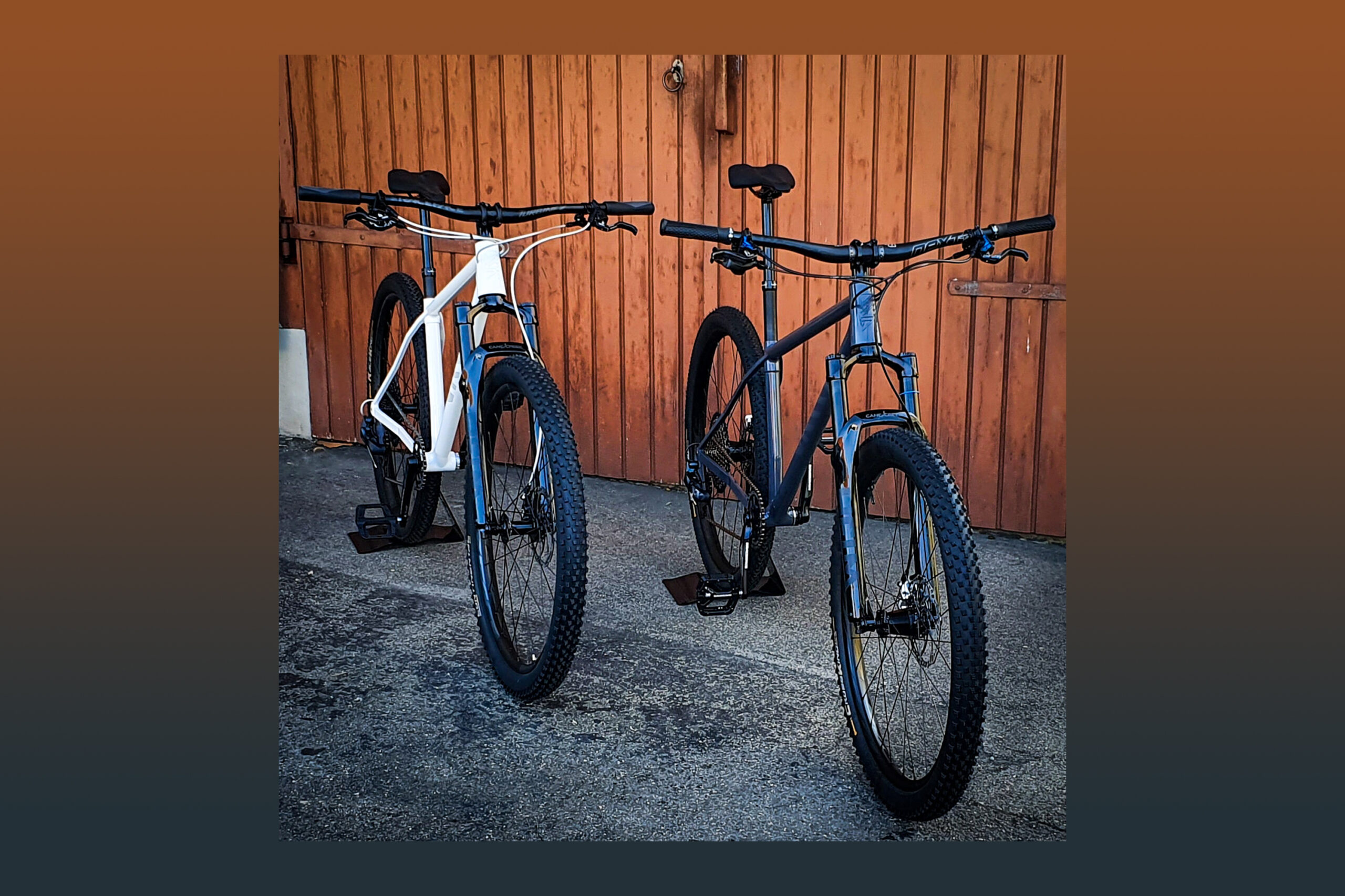 Vain Bicycles – No. One: Crowdfunding-Projekt aus der Schweiz