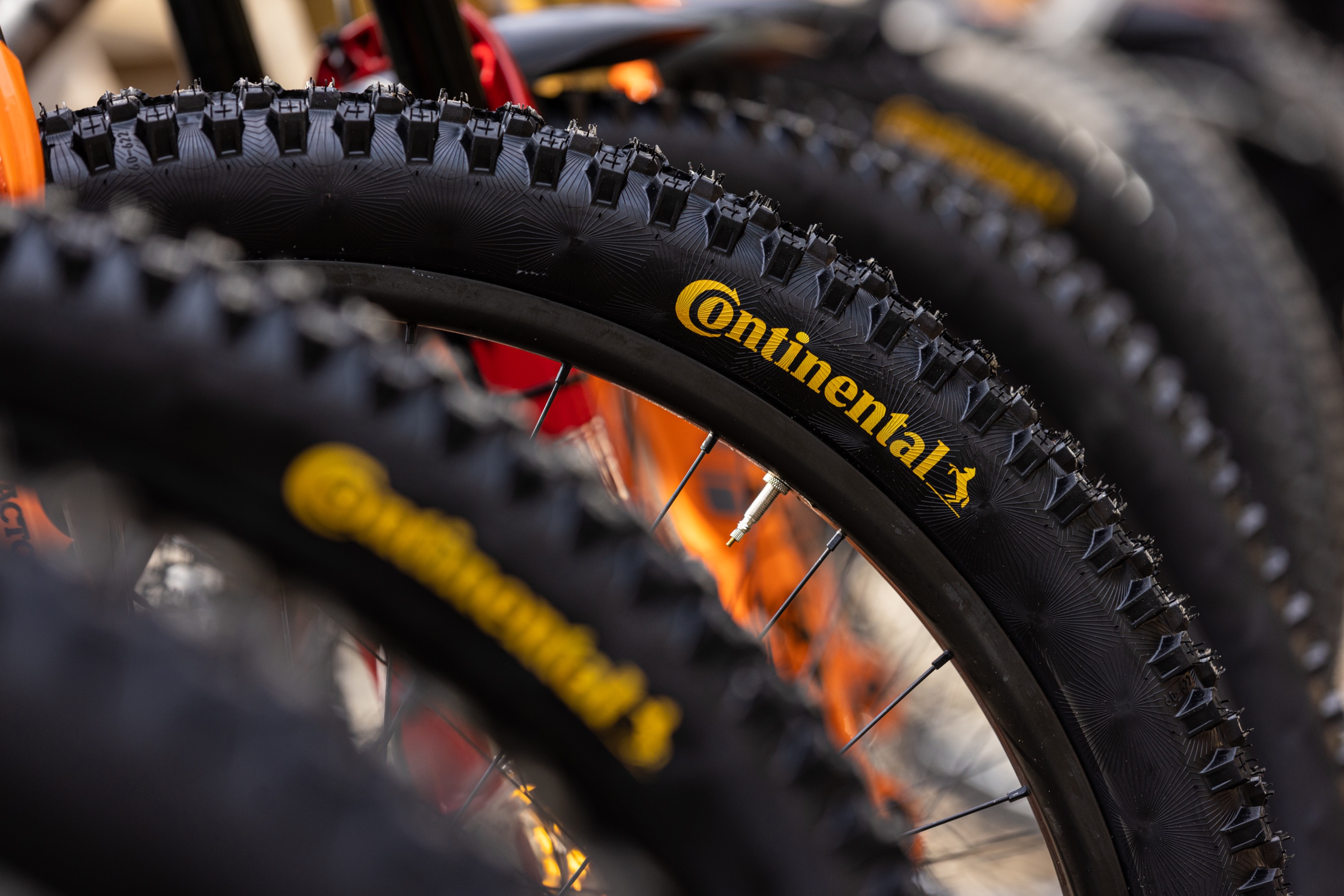 duidelijk Joseph Banks tafel MTB-Reifen im Test - das ist der beste Reifen 2023 für dein Bike