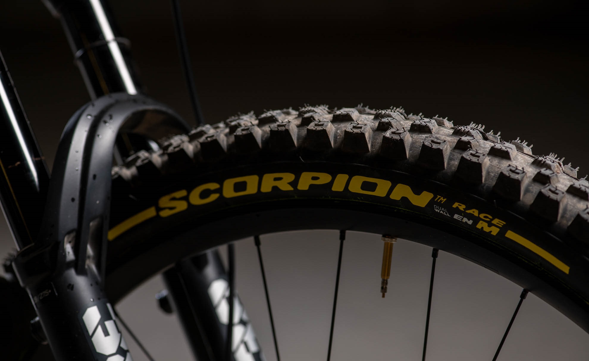 Scorpion und Neue DH-Racereifen Pirelli Race: Enduro