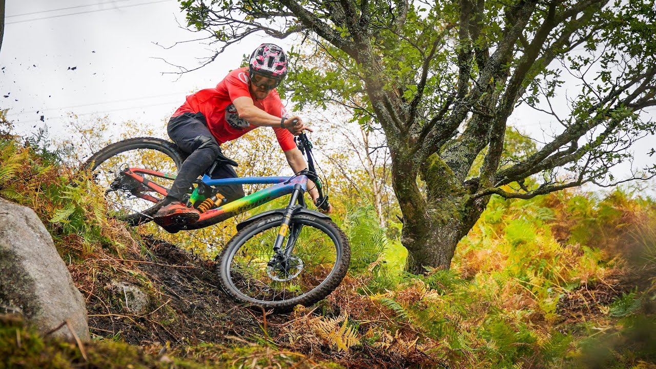 www.mtb-news.de