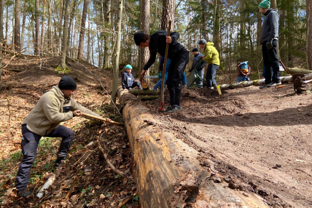 DIMB Basismodul Streckenbau: Theorie und Praxis für Trailbuilder
