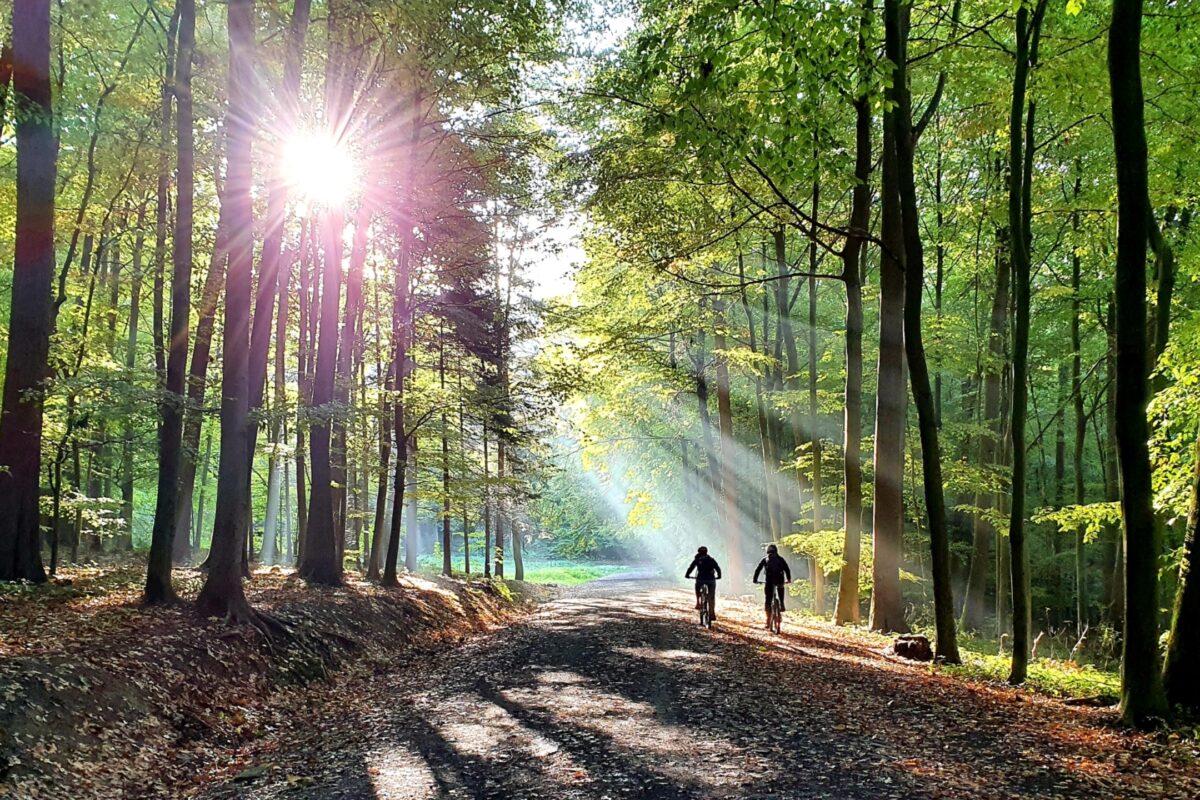 Verbände gründen Kompetenzteam: Neue Mountainbike-Lobby für NRW
