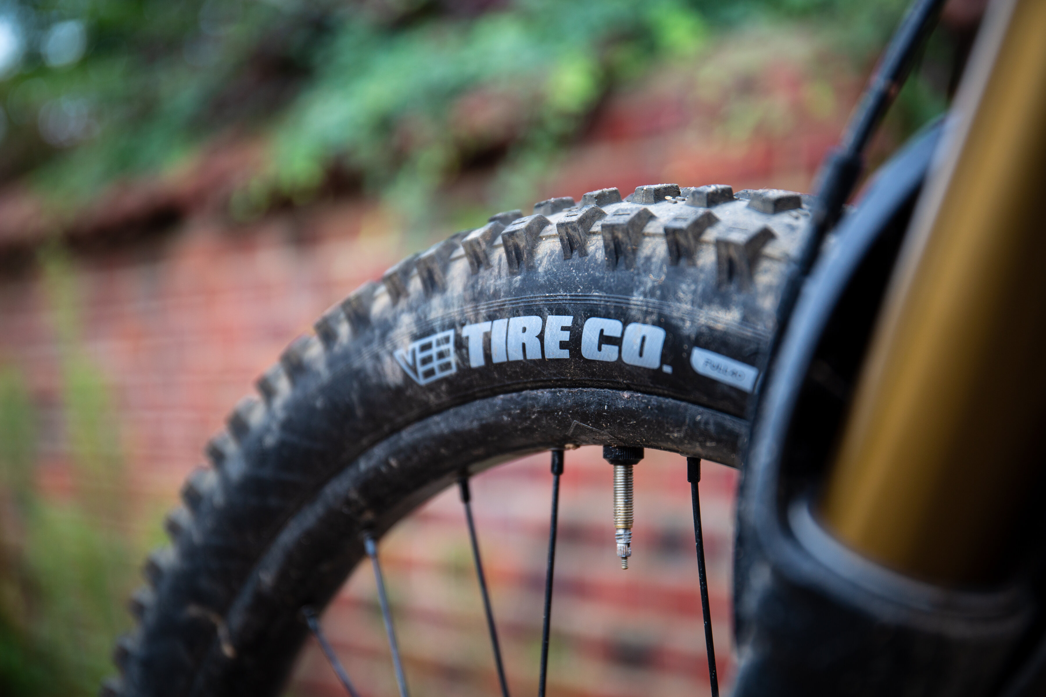 MTB-Reifen im Test - das ist der beste Reifen 2024 für dein Bike