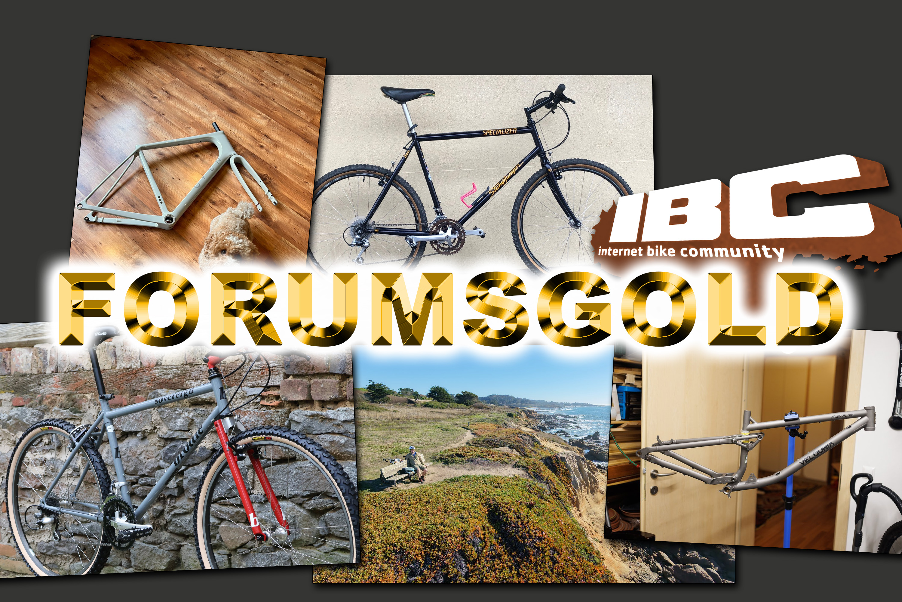 Forumsgold #1: Die besten 5 IBC Forums-Threads der Woche